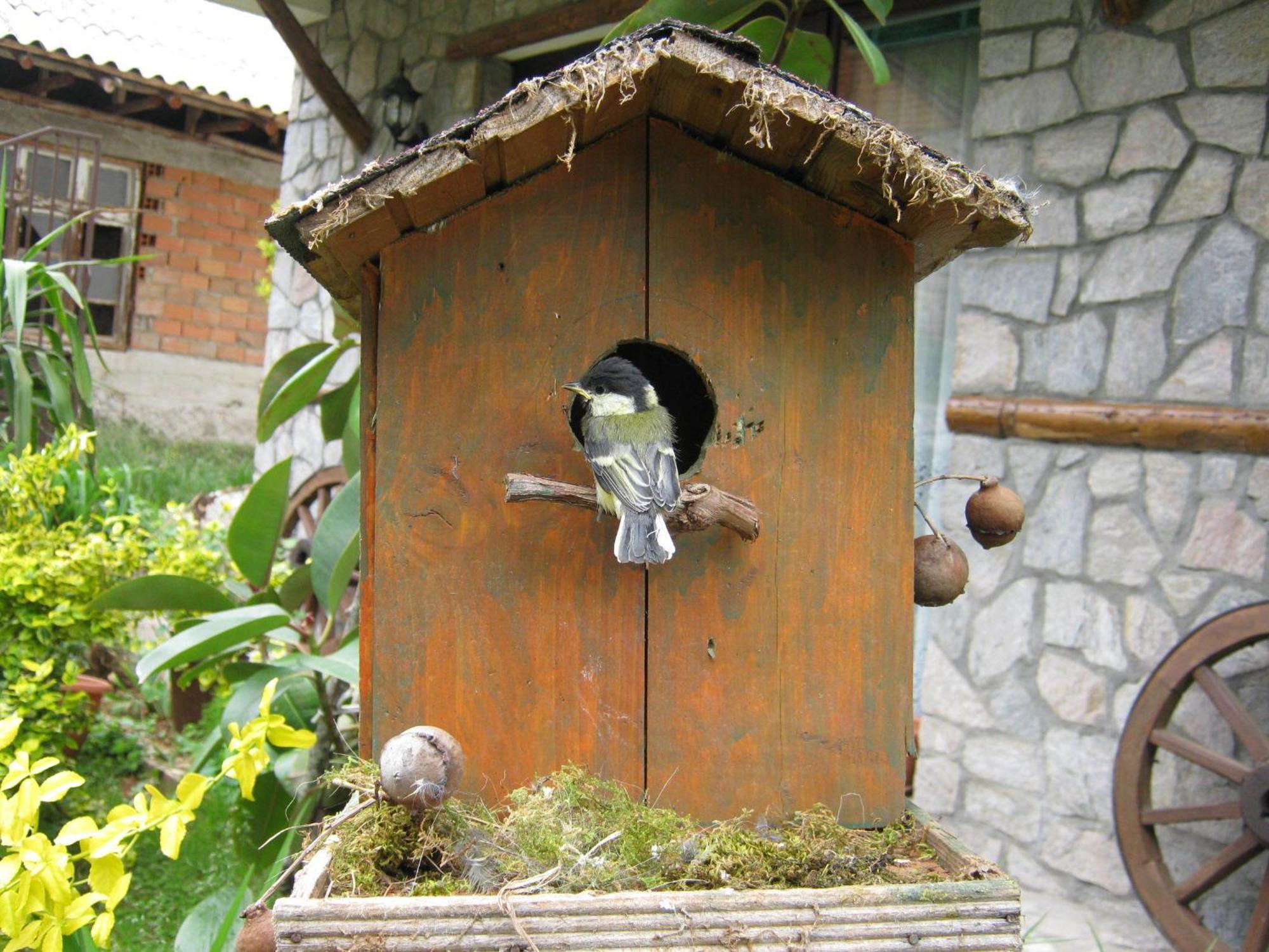 Risto'S Guest House Elshani Exterior foto